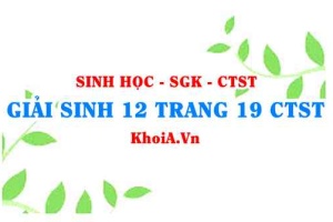 Giải Sinh 12 trang 19 Chân trời Sáng tạo